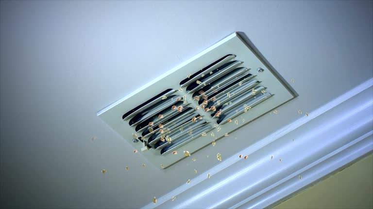 Best HVAC Duct Inspection Services  in Caro, MI