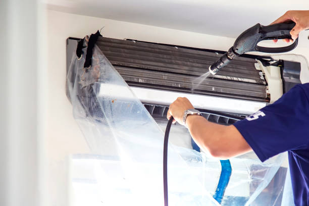 Best Air Vent Cleaning Services  in Caro, MI